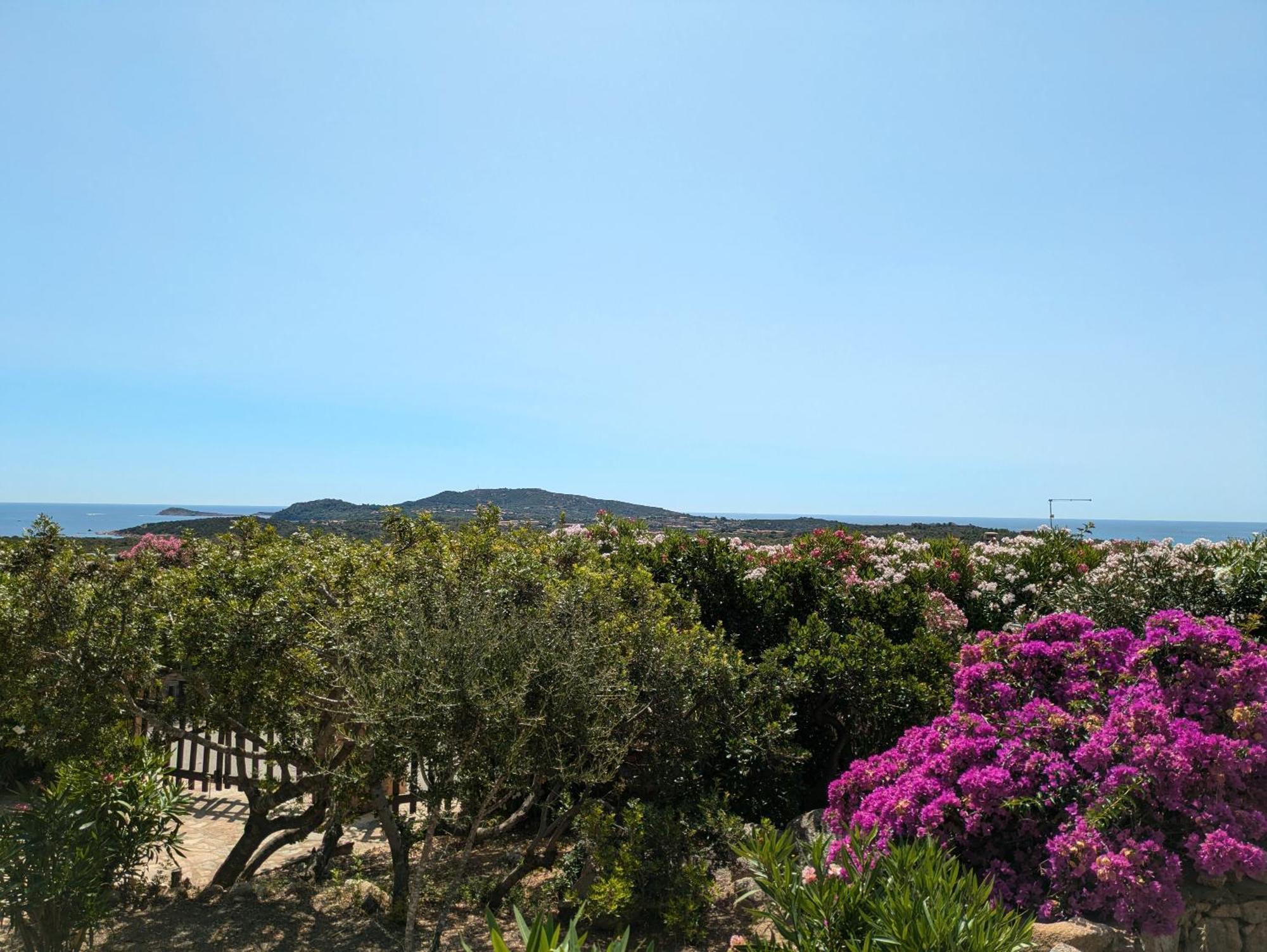 Villa Vista Mare Cala Ginepro Punta Molara Exterior photo